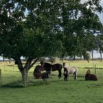 In dit team is het veilig